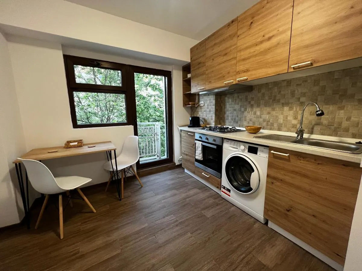 Central Studio Apartment Bucureşti